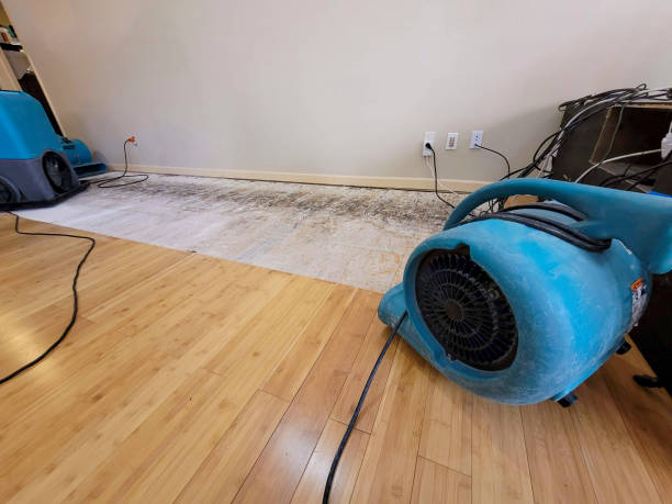 Professional Water Damage Repair technician working in Shelter Island Heights, NY